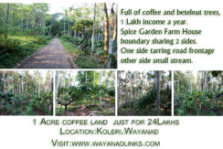 1 Acre Land for Sale at Koleri near Spice Garden Farm House Wayanad