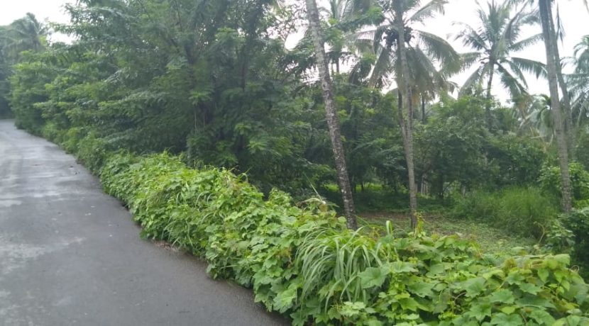 a3439f66-11d6-47c4-ab2a-766641f7cdcb