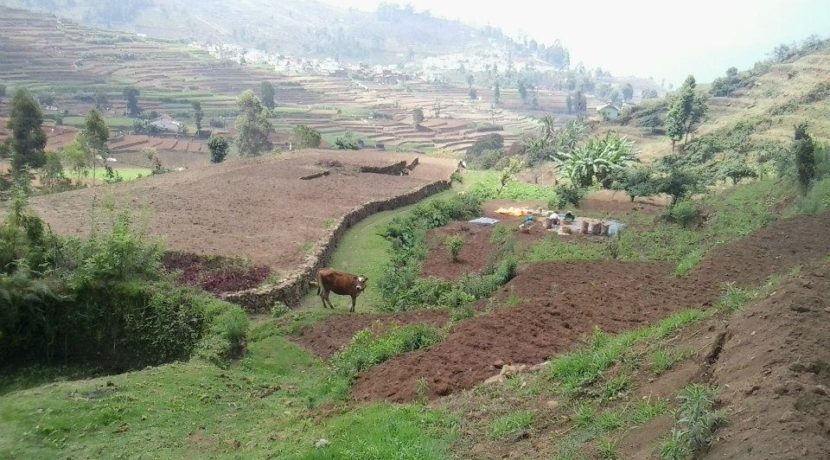 vilpatti-25