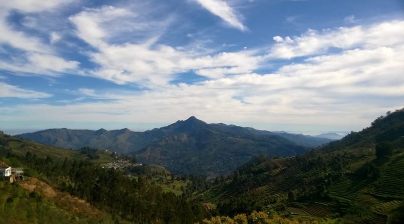vilpatti-3