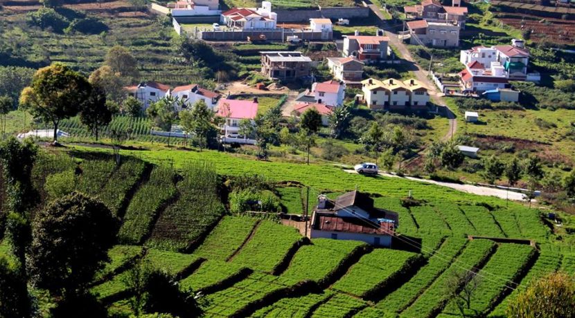 vilpatti-31