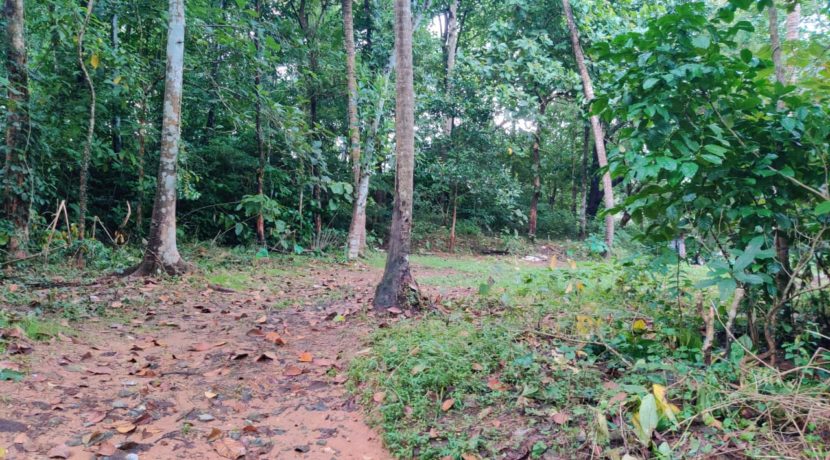 WhatsApp Image 2019-10-16 at 11.24.37 PM