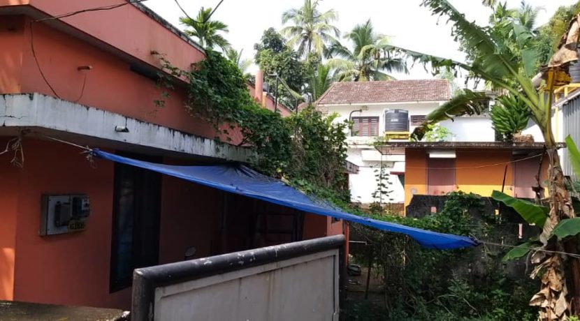 WhatsApp Image 2019-11-18 at 21.42.30 (2)