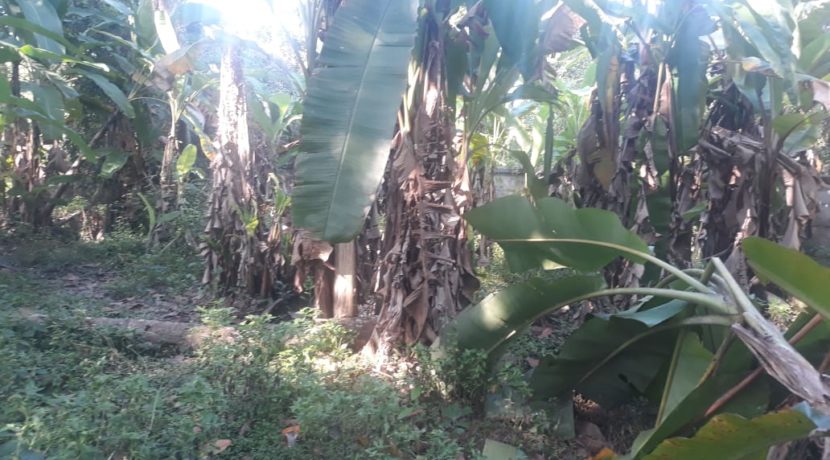 IMG-20191216-WA0001
