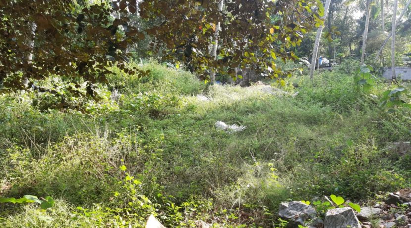 WhatsApp Image 2019-12-15 at 3.25.07 PM (1)