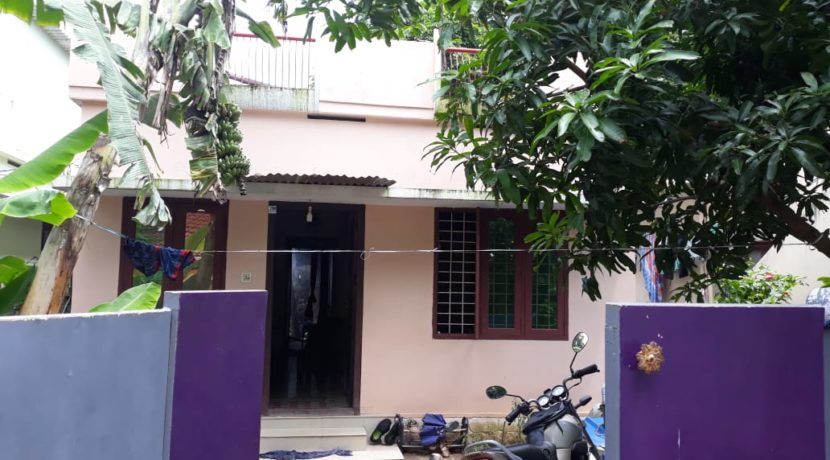 IMG-20191028-WA0002