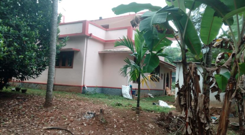 Side View