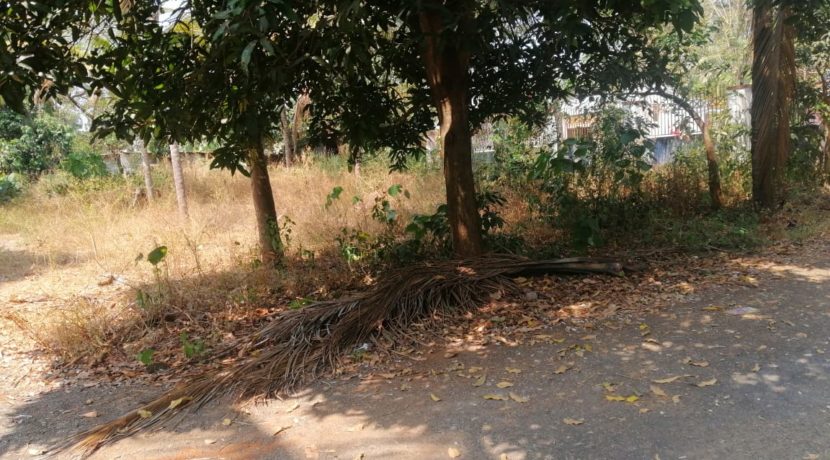 a50686d8-d856-49dc-b71f-fa226e521c65