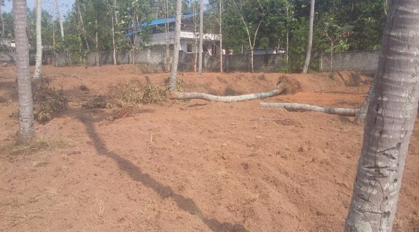 079FF7D4-C281-4DFB-883D-EA2C1C313B08