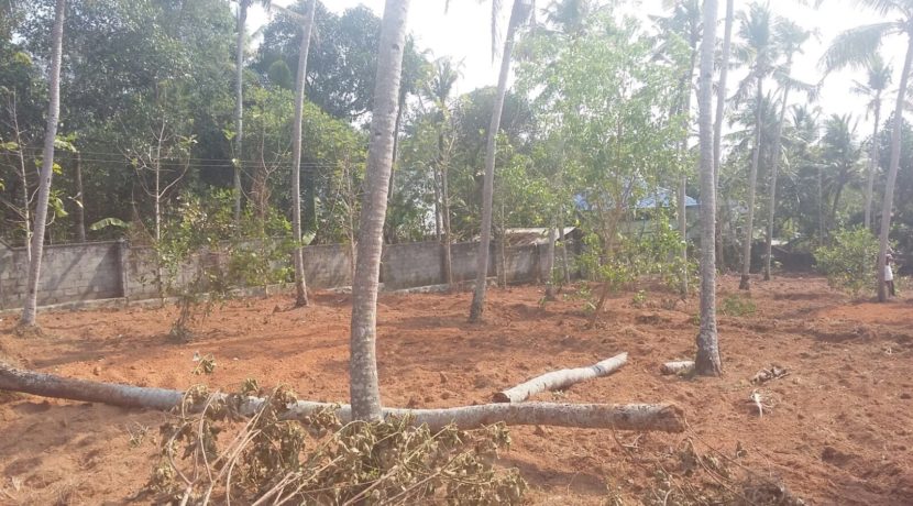 8318B9BF-34E4-4C25-BF58-822040449258