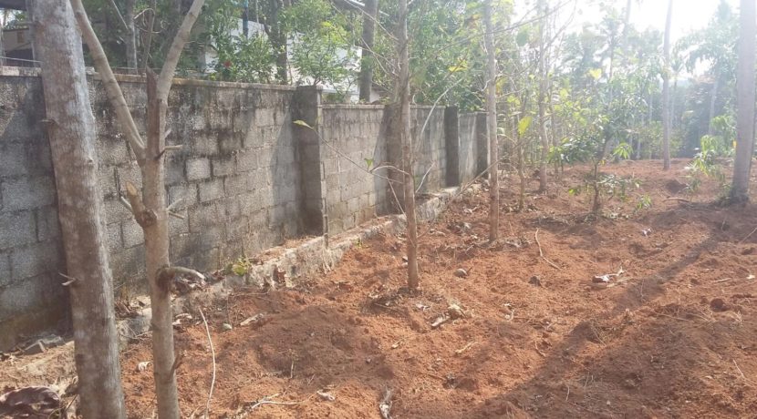 9EF4CC2B-CFB0-48DF-98E3-145190560694