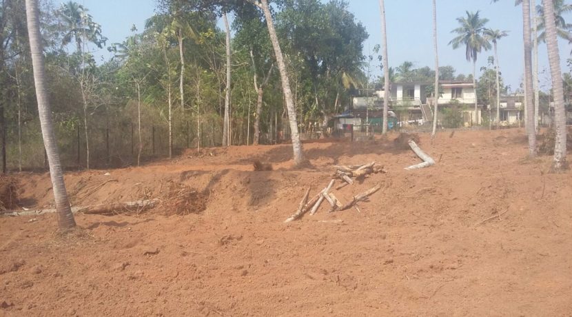 DE3A0FEE-63B8-4E13-8957-65FA186307F9