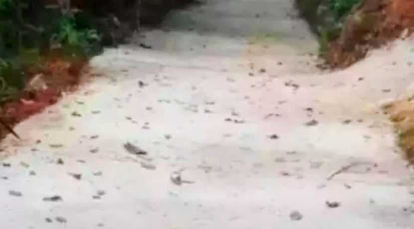 Screenshot_20190525-030050_OLX India