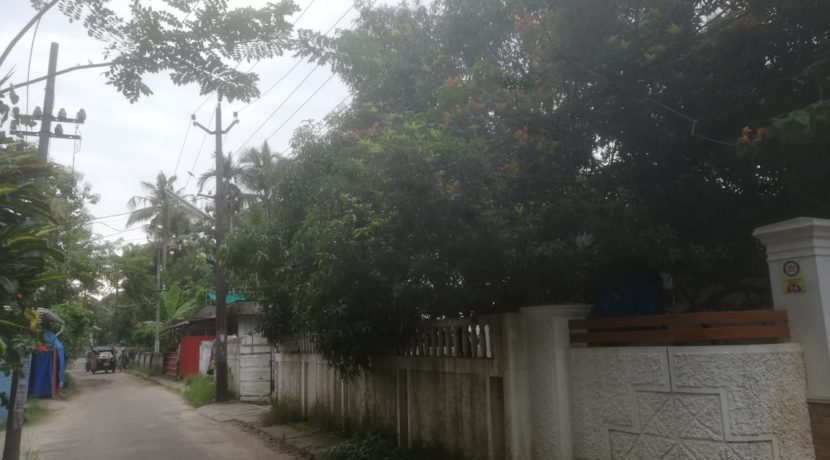 CZVZ9987