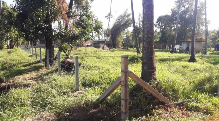 IMG_20200619_225501[1]