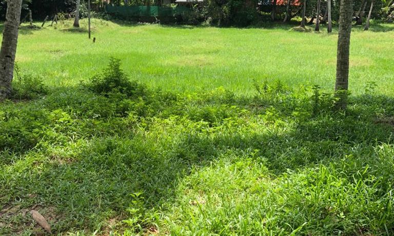 WhatsApp Image 2020-06-05 at 1.38.23 AM (1)