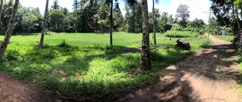 WhatsApp Image 2020-06-05 at 1.38.23 AM (7)