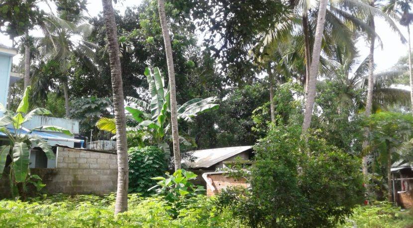 WhatsApp Image 2020-06-18 at 1.20.10 PM