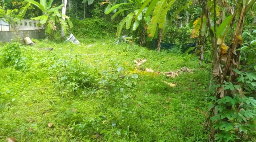 39979c0f-0bc1-48c2-86c7-2f2a513e9ce6