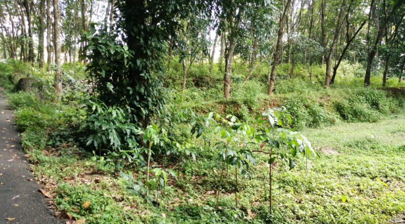 WhatsApp Image 2020-08-01 at 12.05.40 AM