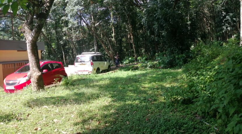 WhatsApp Image 2020-08-01 at 12.05.42 AM (1)