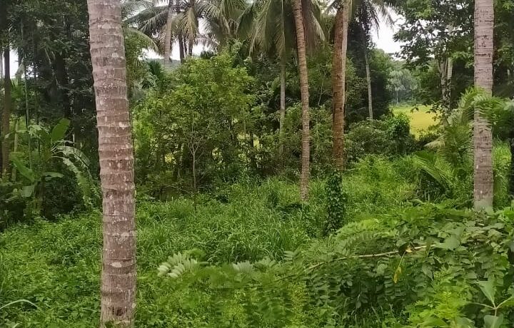 land photo 1
