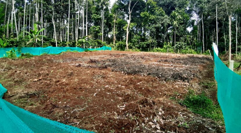 WhatsApp Image 2020-07-14 at 3.59.57 PM