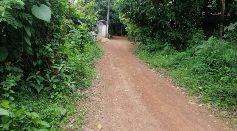 kolangattukara2