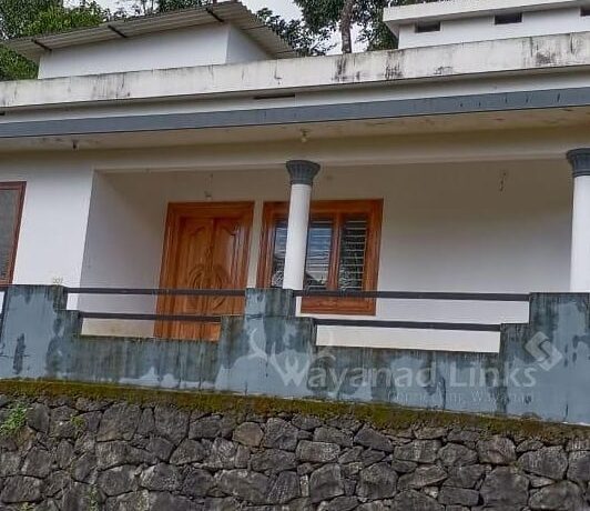 IMG_20201003_151104_783