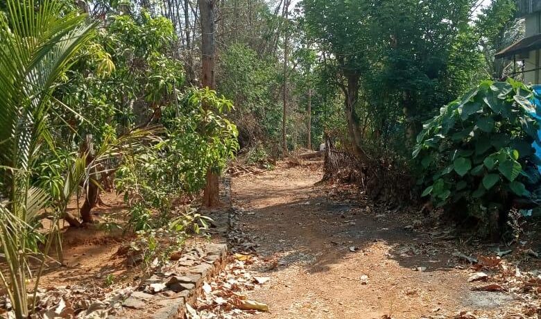 221917029O-1582559060131