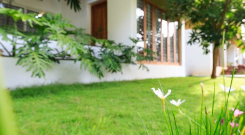 658ddd85-0b9b-4045-8b5a-1eb1a3da3e7a