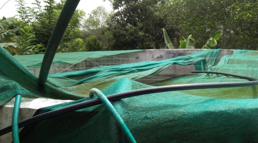 WhatsApp Image 2020-11-04 at 11.38.20 AM (2)