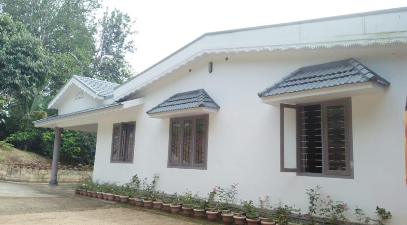 WhatsApp Image 2020-11-04 at 11.54.16 AM