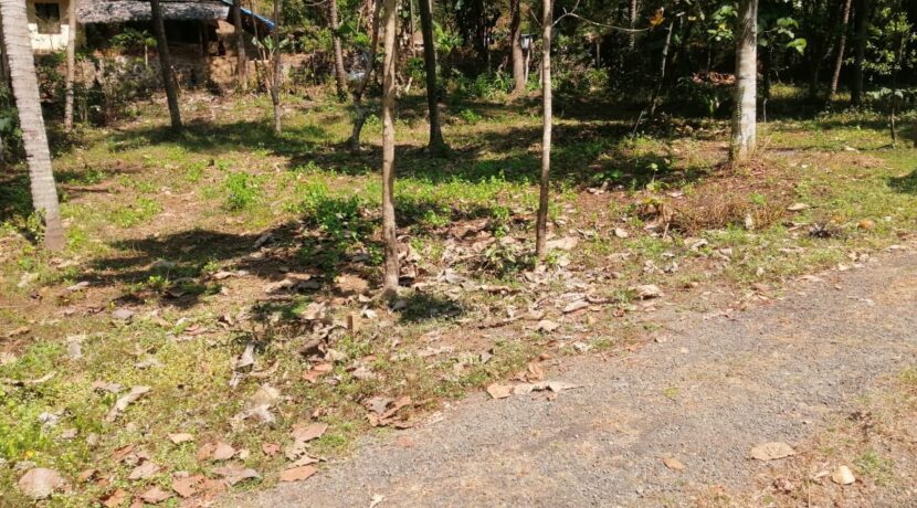 f91fb7ca-1042-4ff7-9a4a-2c159fc253a1