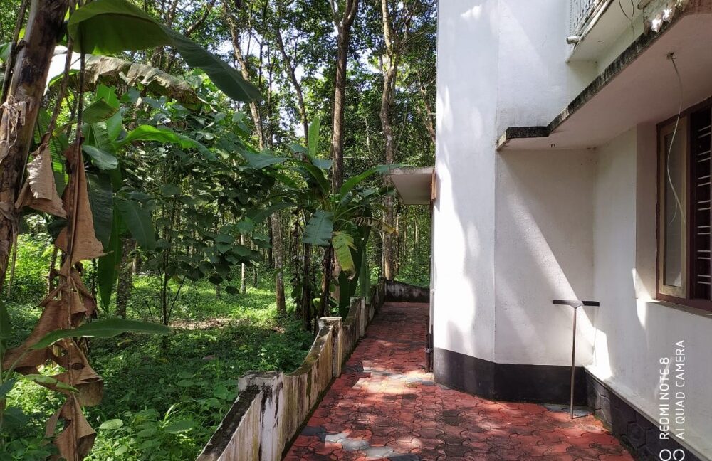 0e32adb3-61a9-4602-b818-8ca83c3d843d