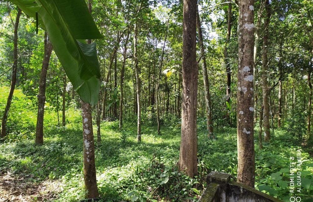 4424f4c3-5f8e-4440-83de-f7ee6a3cf430