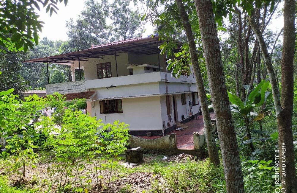 f5b06b25-dd1e-4d1e-abd8-4189616250e9