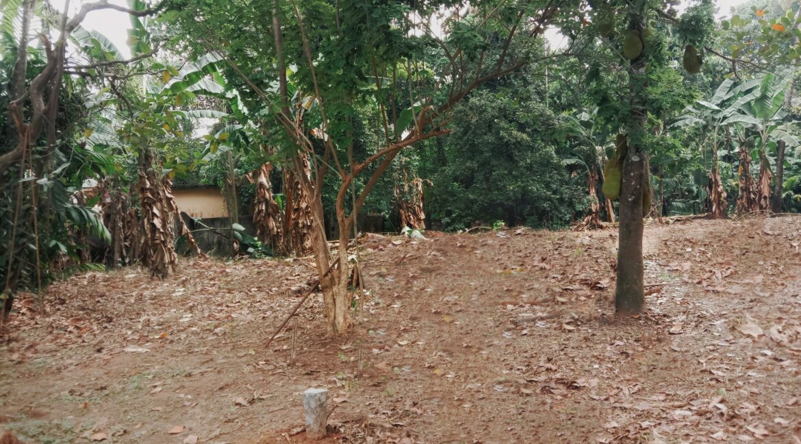 PicsArt_03-29-07.53.48-01