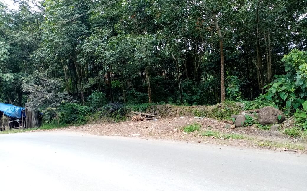 PHOTO-2019-11-03-12-01-00