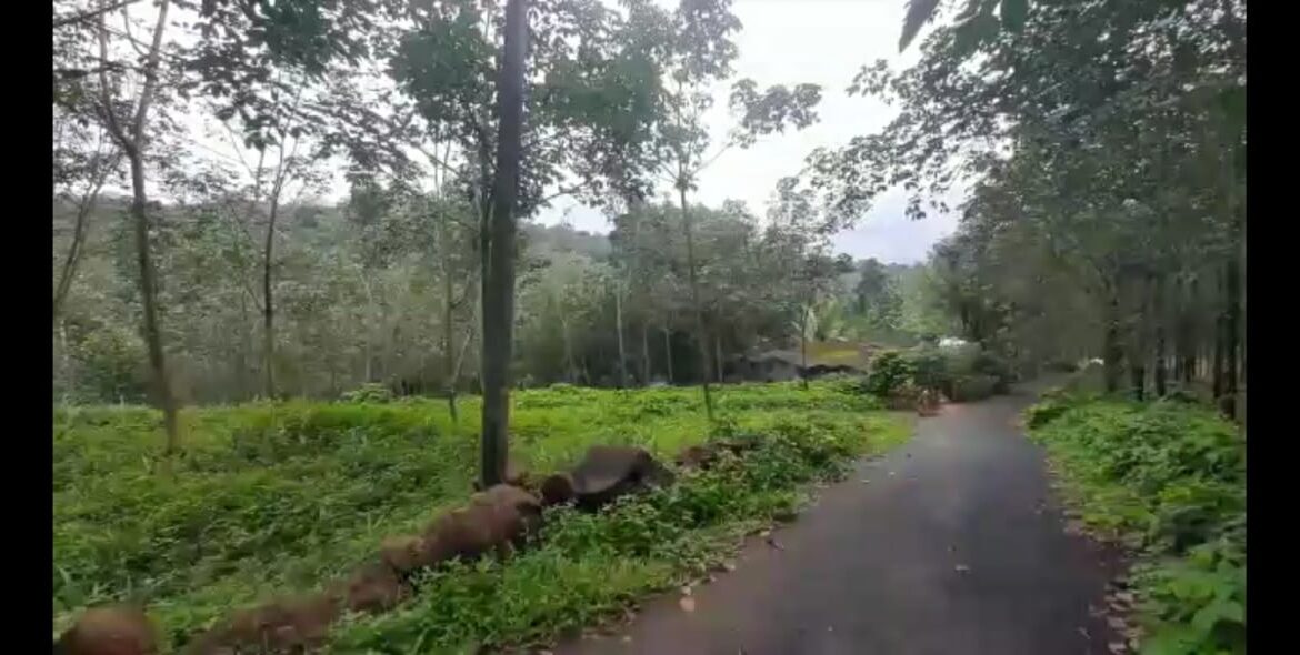 WhatsApp Image 2022-08-25 at 1.54.38 AM