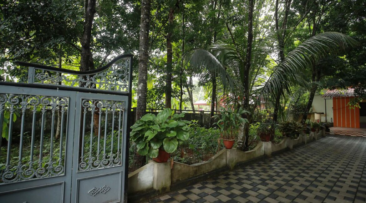 PHOTO-2023-11-21-18-57-43 (4)